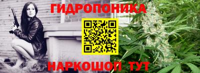бошки Дубна