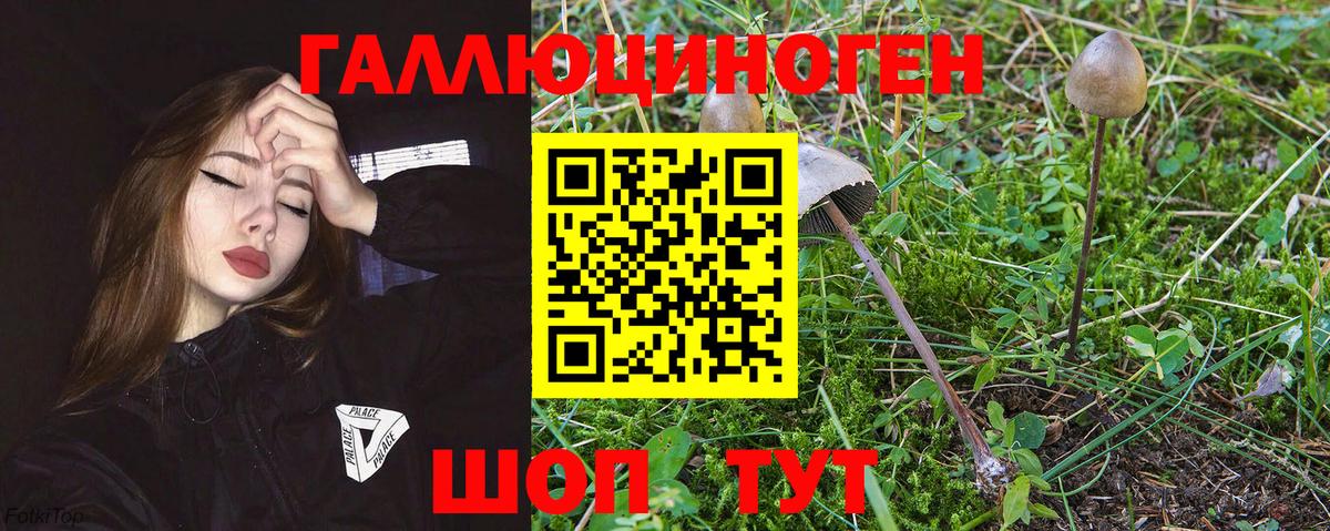 Галлюциногенные грибы мицелий  Вход с VPN  Надым 